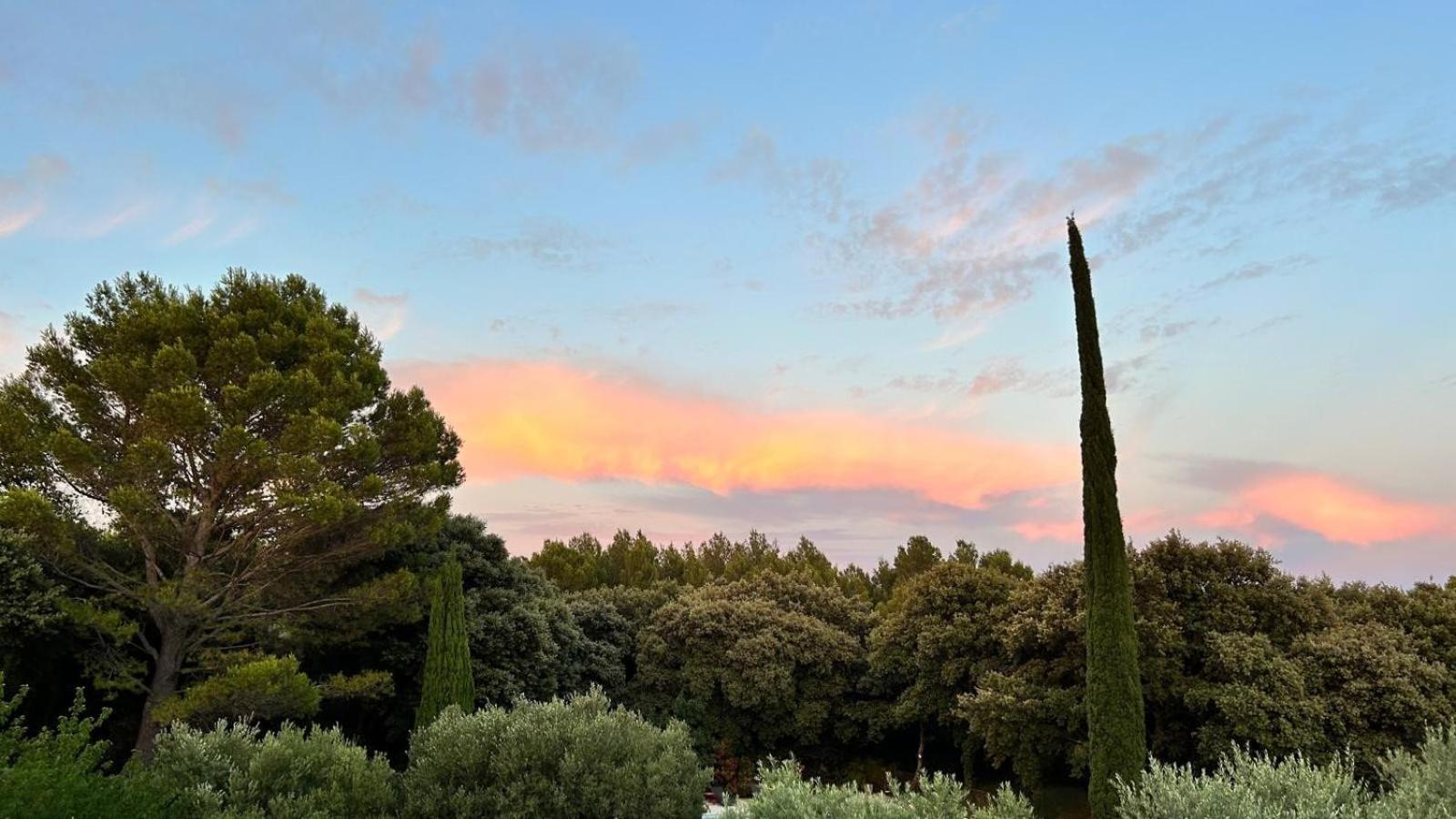 Domaine Colibri En Provence Otel Pujaut Dış mekan fotoğraf