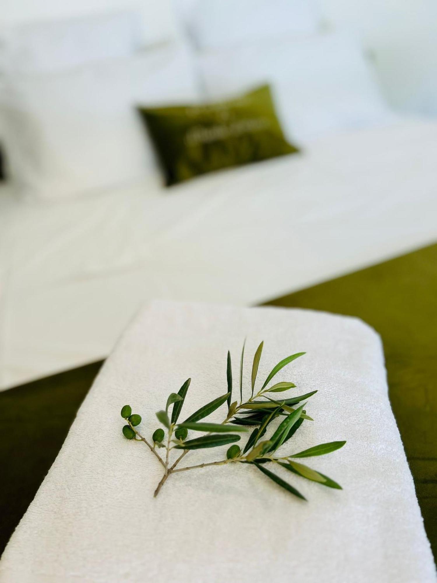 Domaine Colibri En Provence Otel Pujaut Dış mekan fotoğraf